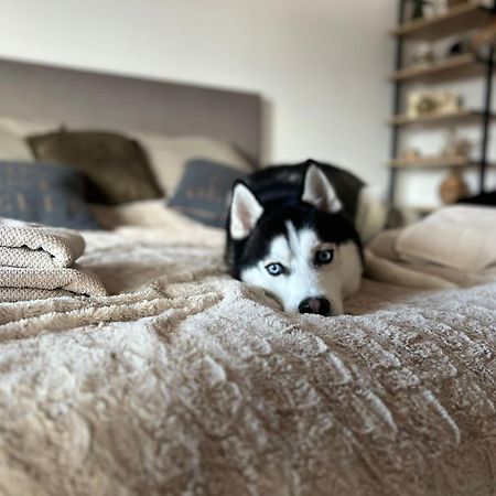 Apartman Freya Liptovsky Mikulas Bagian luar foto