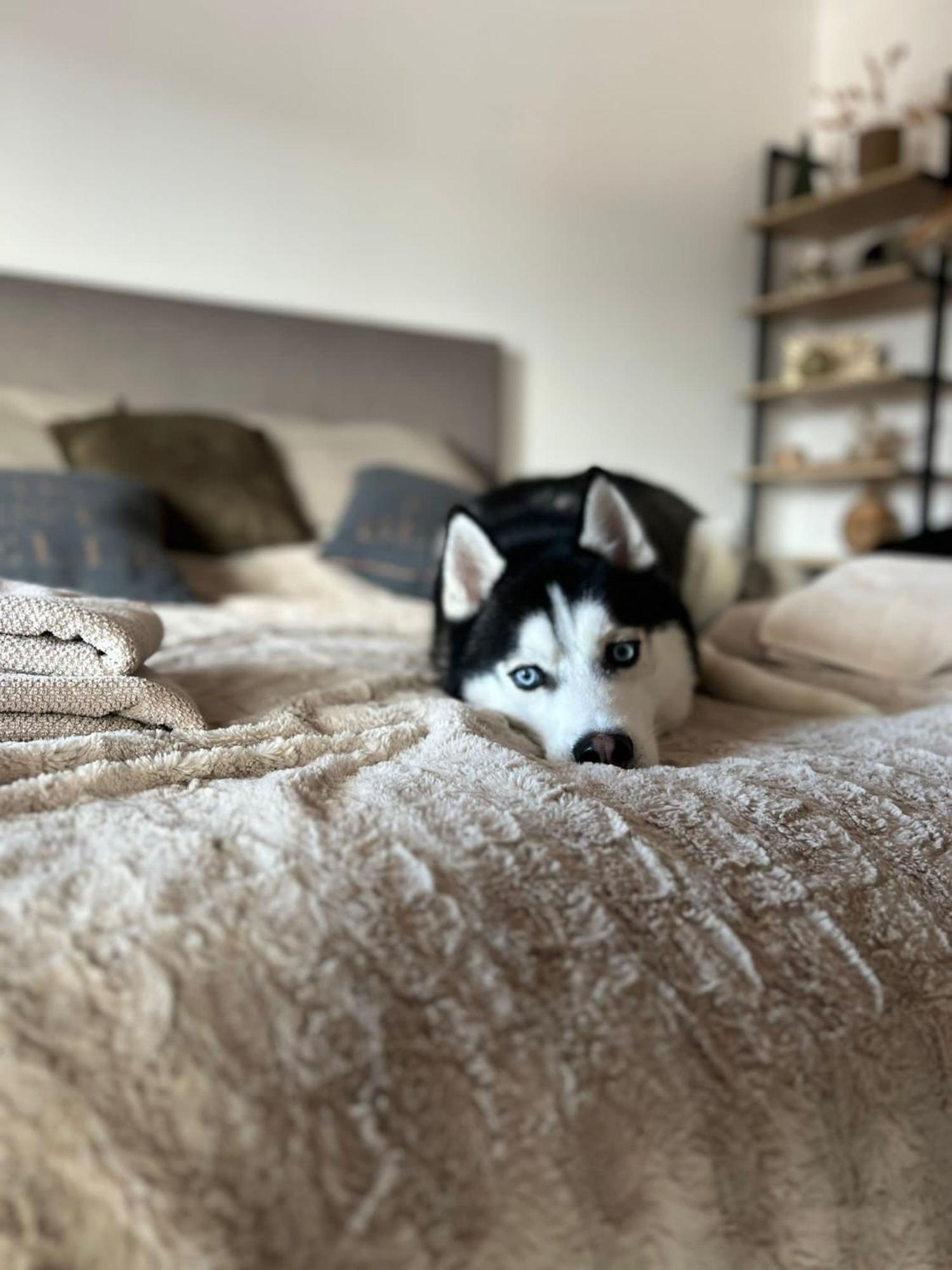 Apartman Freya Liptovsky Mikulas Bagian luar foto