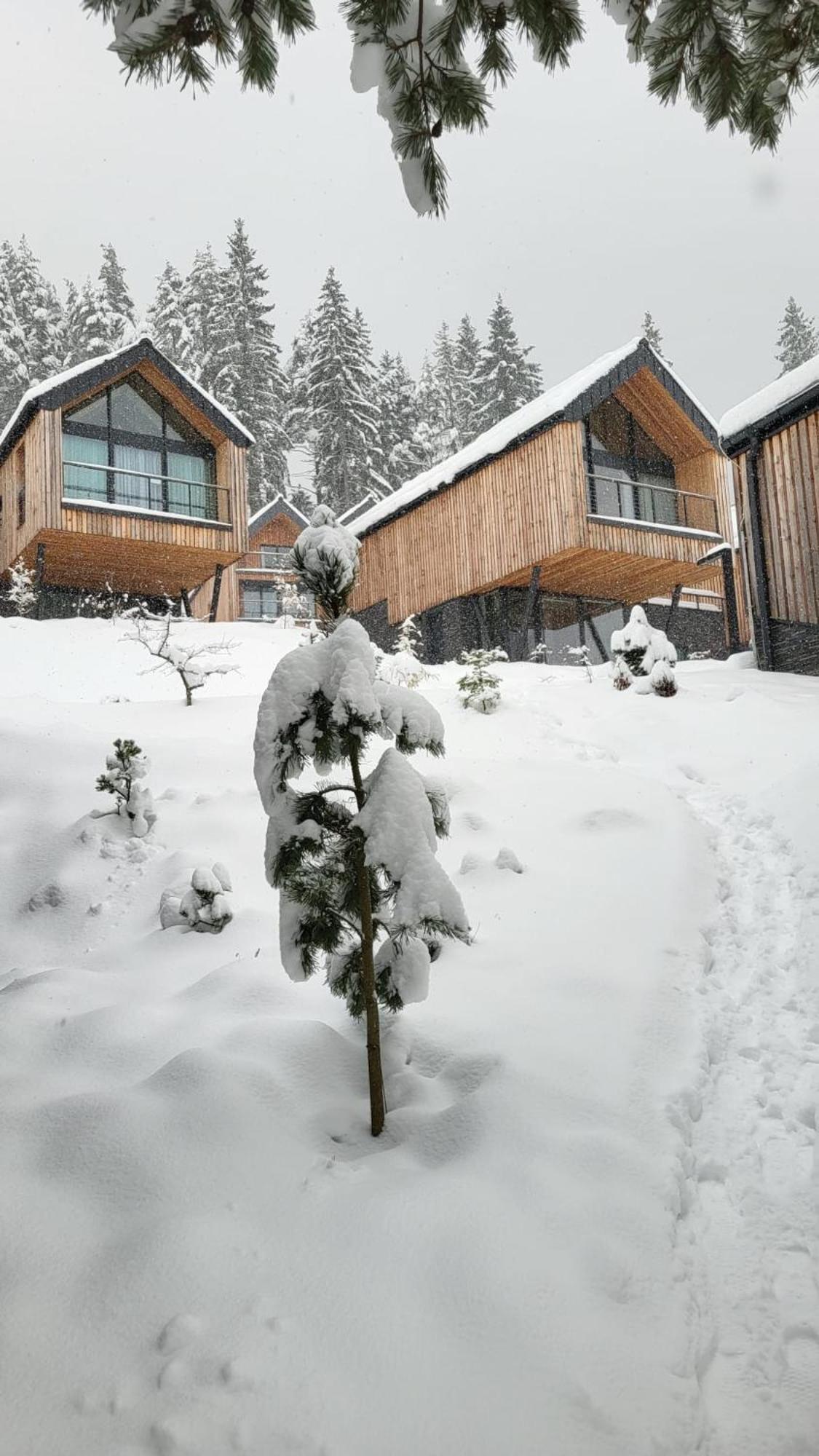 Apartman Freya Liptovsky Mikulas Bagian luar foto